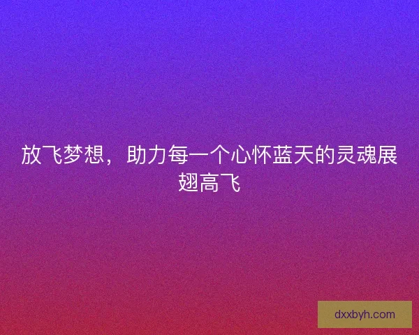 放飞梦想，助力每一个心怀蓝天的灵魂展翅高飞