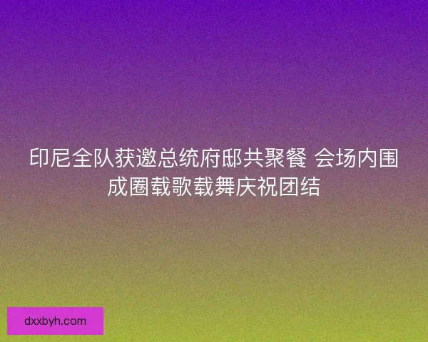 印尼全队获邀总统府邸共聚餐 会场内围成圈载歌载舞庆祝团结